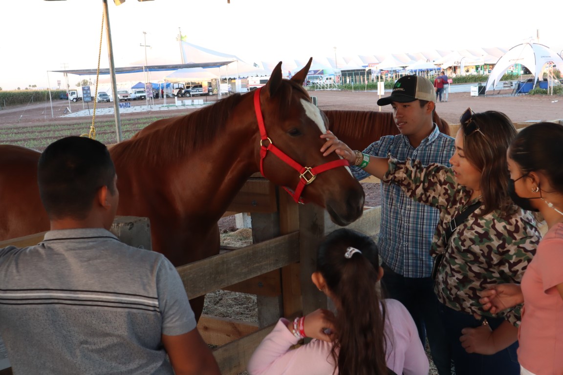 Exposición Rancho Natoches